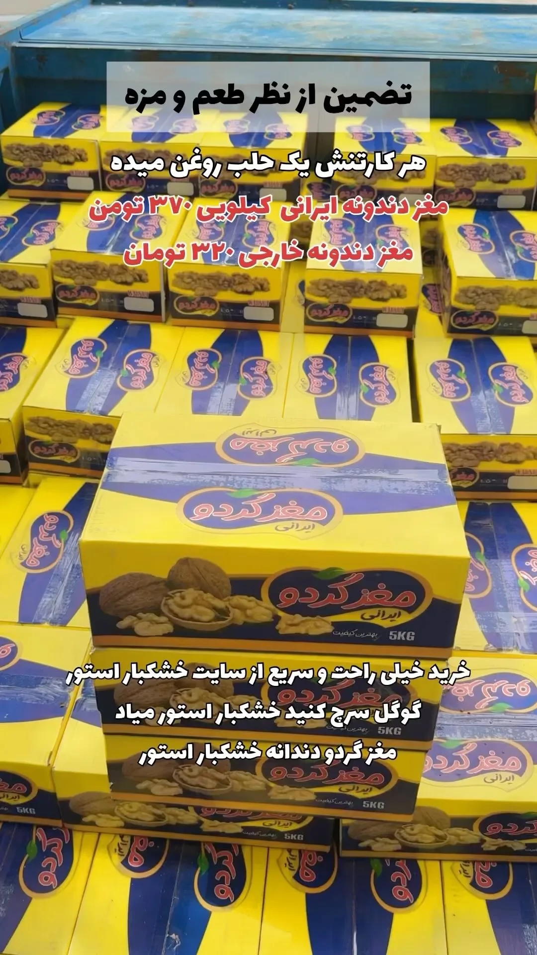مغز گردو دندانه ایرانی