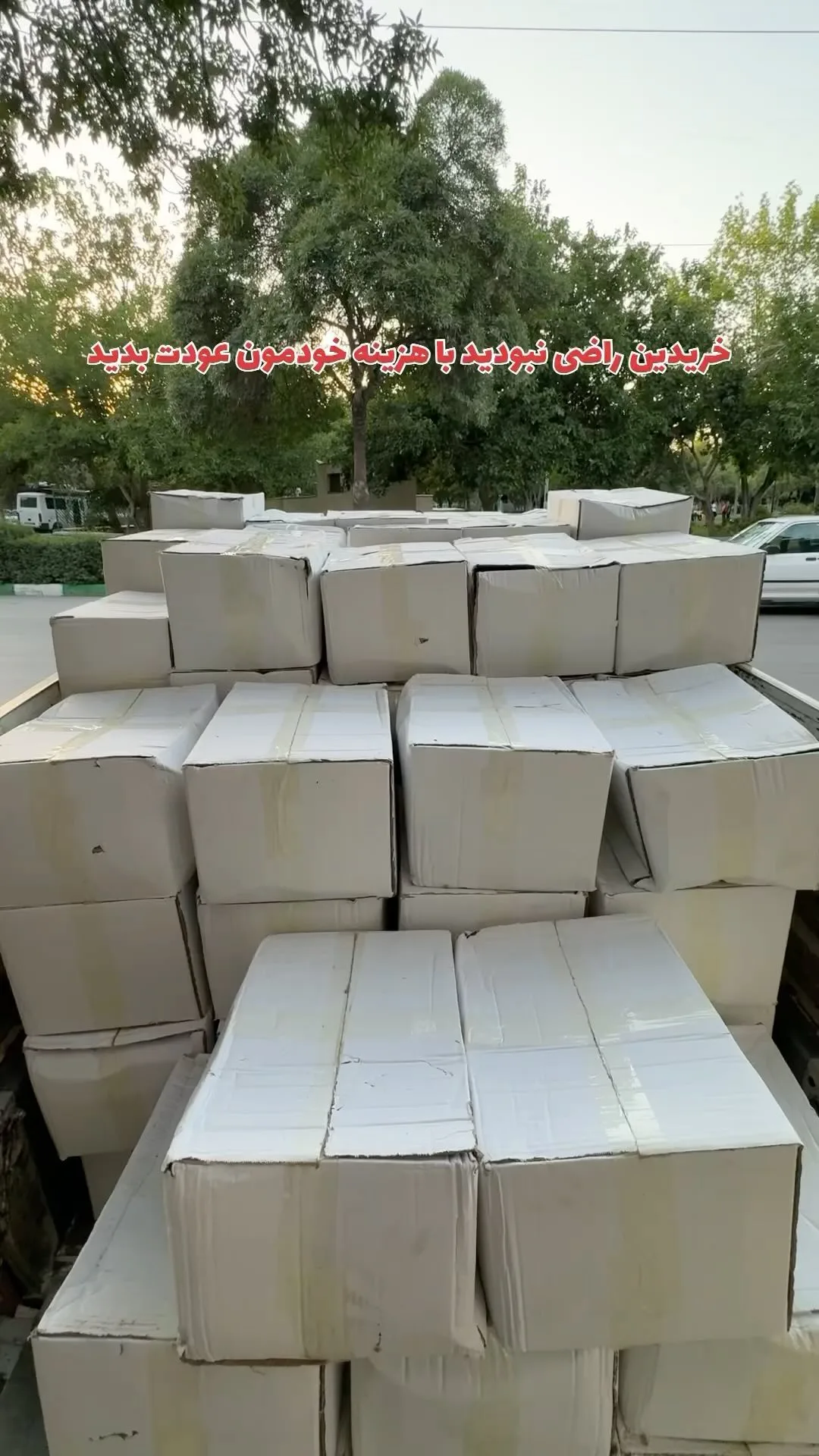 برگه زردآلو فشرده لوکس