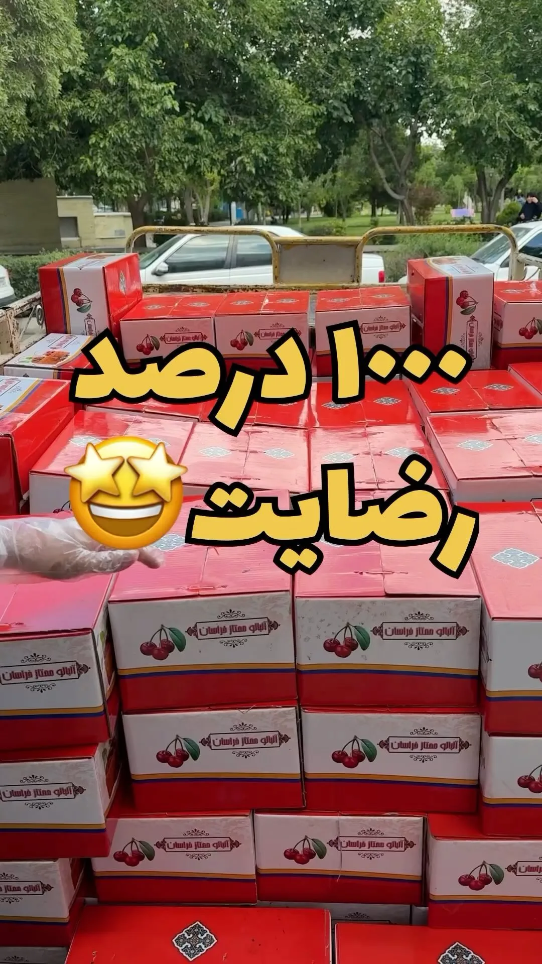 آلبالو خشک درشت، رنگ قرمز و سفید، جنس مقوا، جعبه مکعب مستطیل