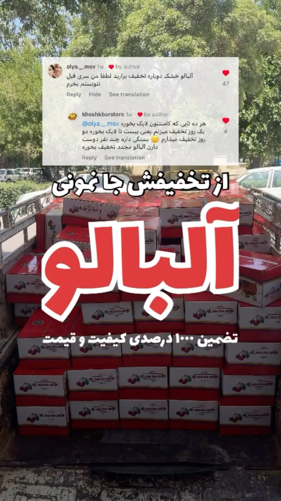 آلبالو خشک ارگانیک، رنگ قرمز، جعبه کادویی