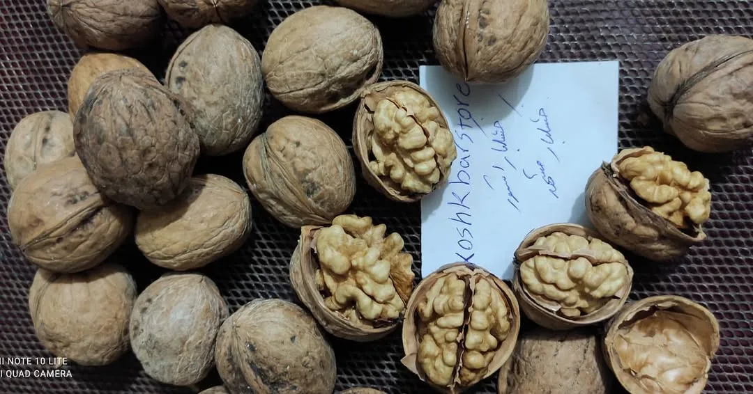 گردو پوست کاغذی ایرانی