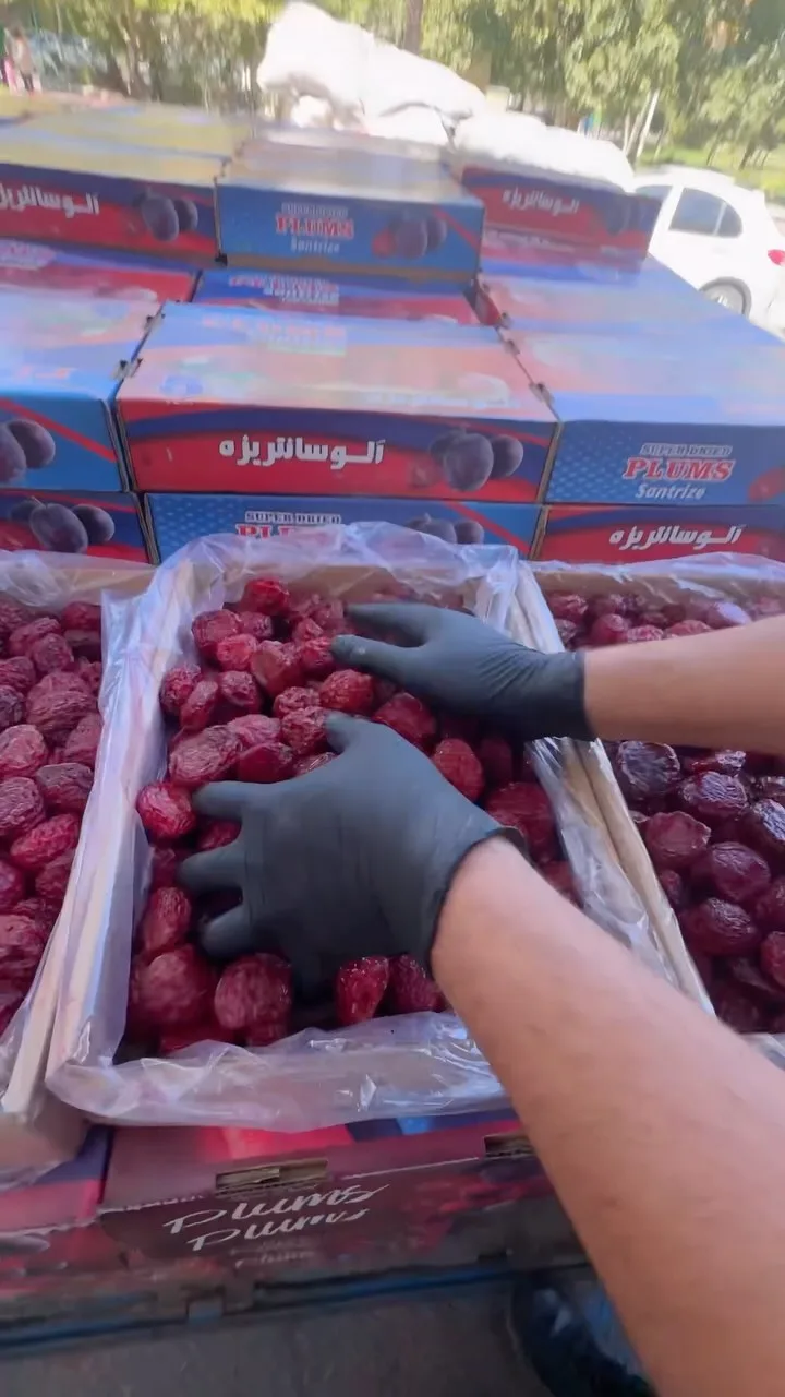 آلو شابلون درشت، رنگ قرمز، خشکبار