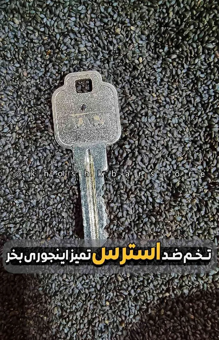 تخم شربتی ریحان سورت لیزری