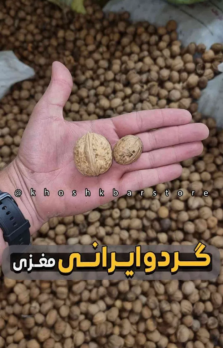 گردو ایرانی مغزی، رنگ قهوه‌ای، گردوی پوست‌دار