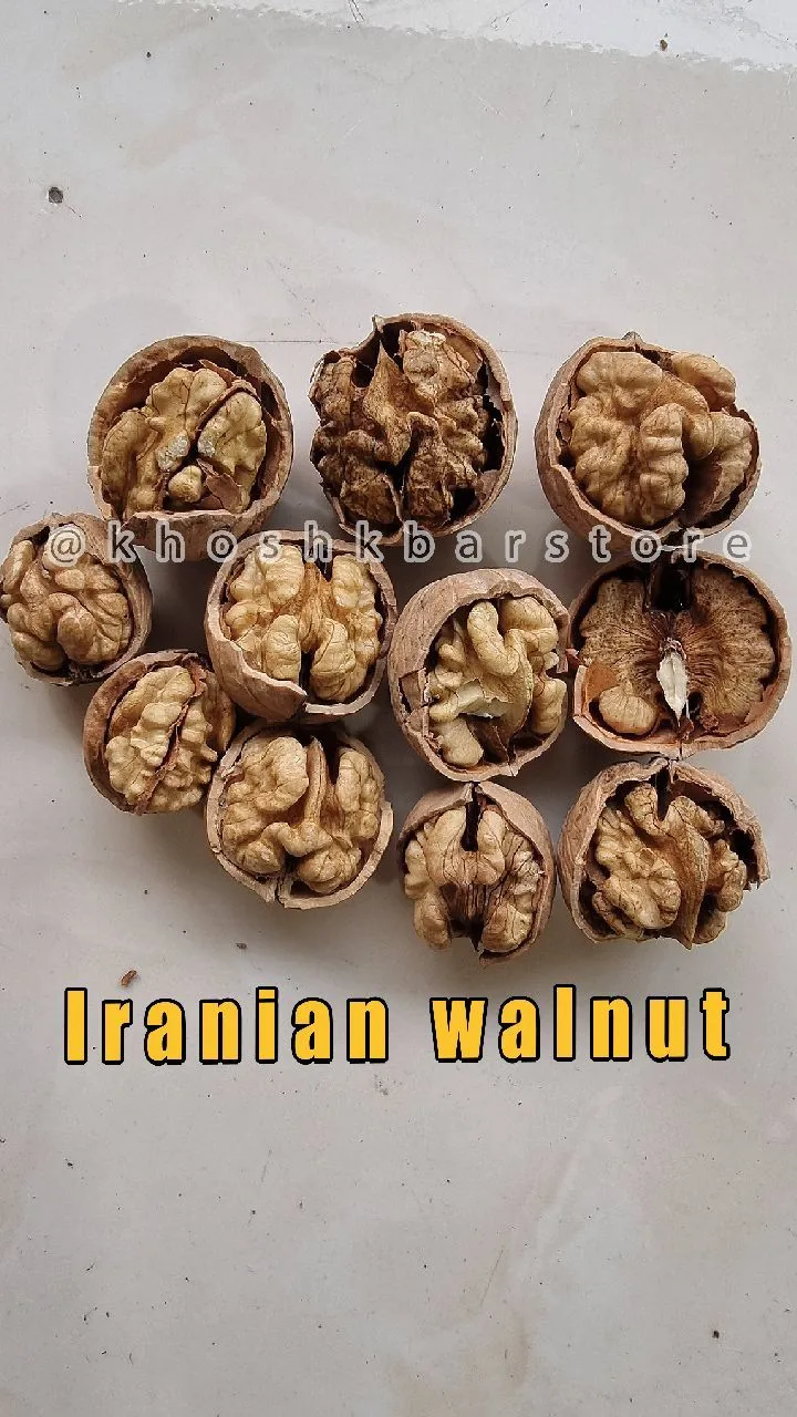 گردو ایرانی خراسان سایز متوسط