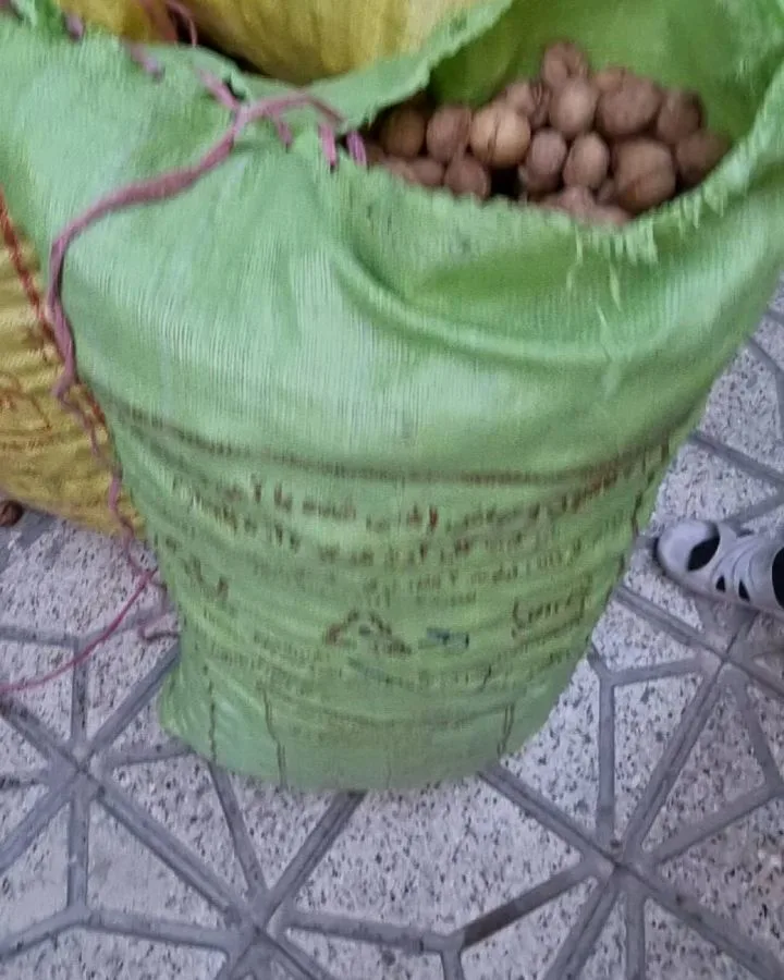 گردو پوست کاغذی ایرانی، رنگ قهوه‌ای و کرم، با پوست