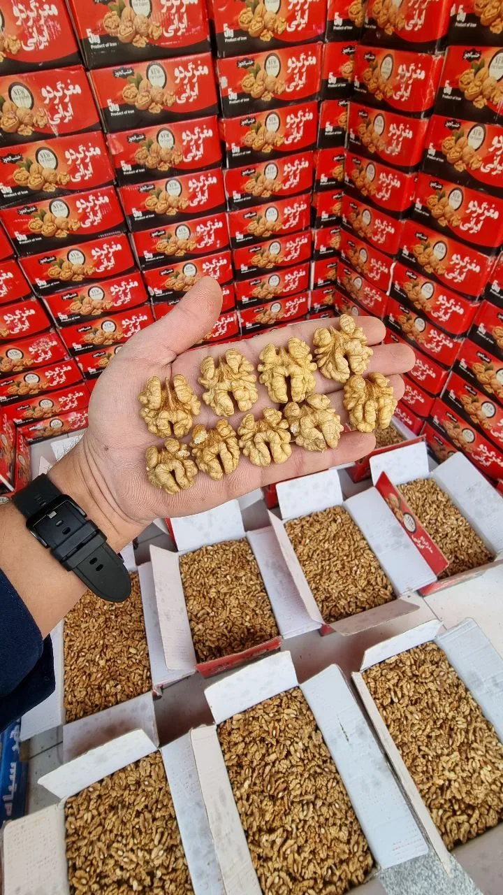 مغز گردو سفید دوپر درجه یک، رنگ کرم و قهوه‌ای روشن، پوست کنده