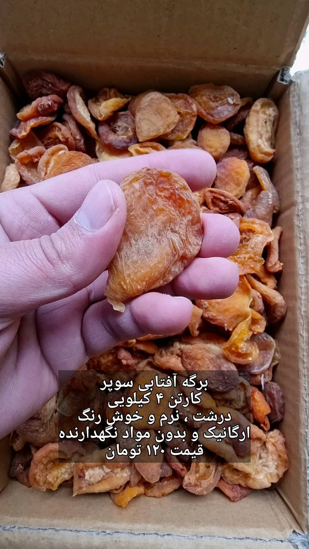 برگه زردآلو آفتابی، رنگ نارنجی، خشک