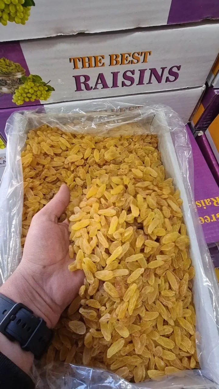 کشمش زرد