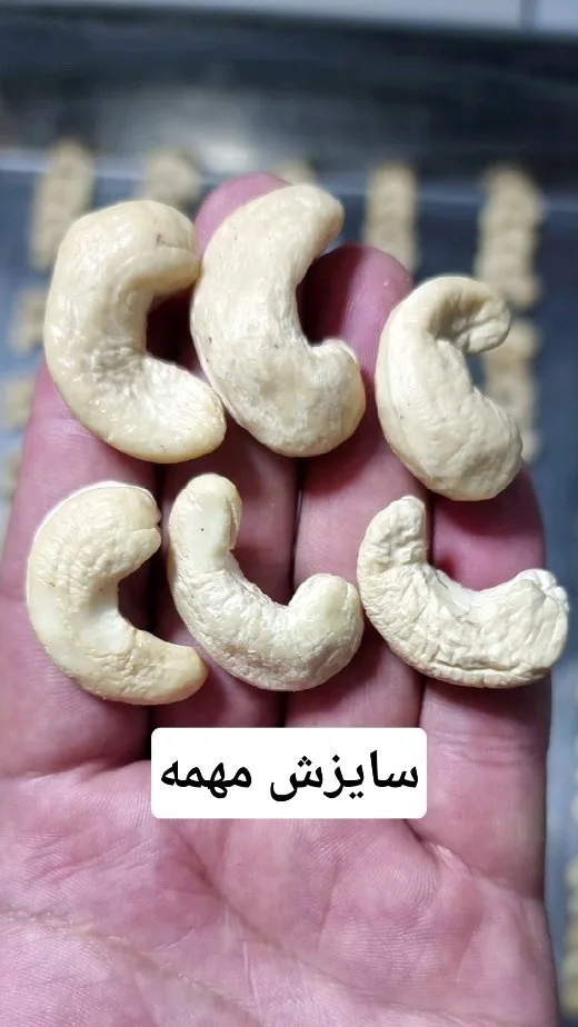 بادام هندی ویتنام سایز ۲۴۰، رنگ کرم
