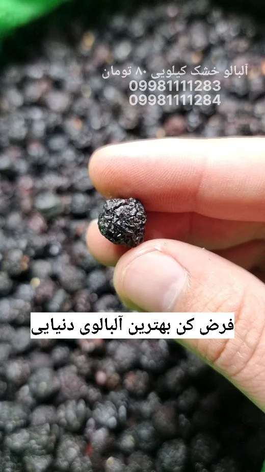 آلبالو خشک درجه یک، رنگ سیاه، میوه خشک
