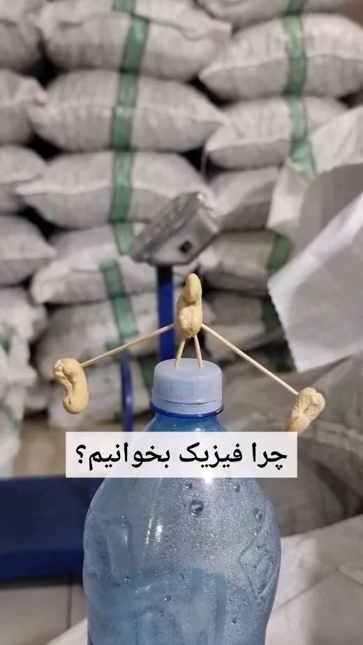 بادام هندی سایز درشت، رنگ کرم، دانه‌ای