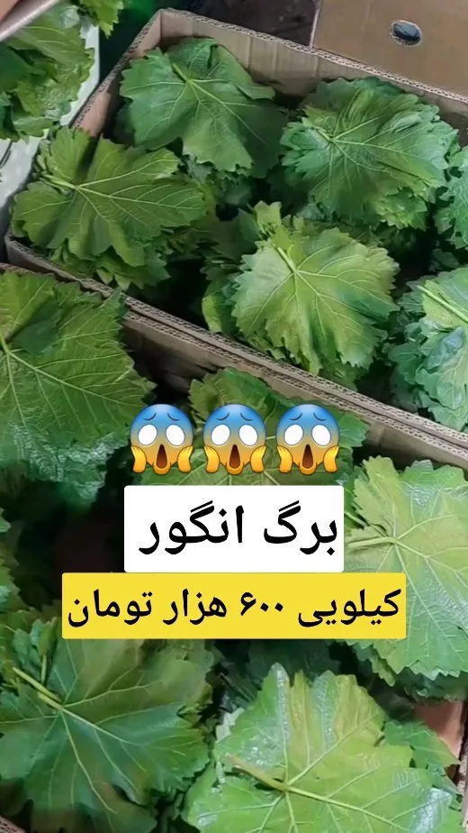 کشمش پلویی بدون هسته