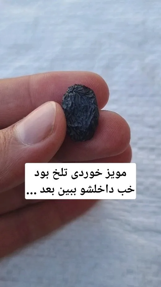 مویز سیاه