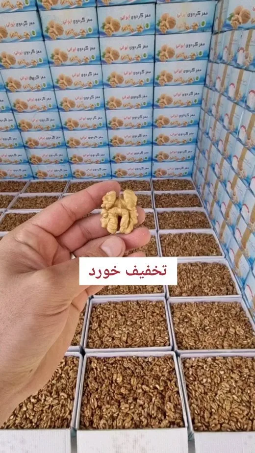 مغز گردو سفید کارتن ۵ کیلویی، رنگ قهوه‌ای، جنس چوب