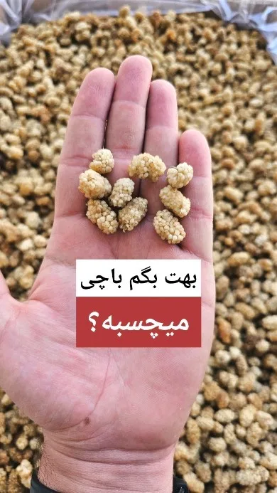 توت خشک نقلی مشهدی، رنگ کرم، دانه‌ای