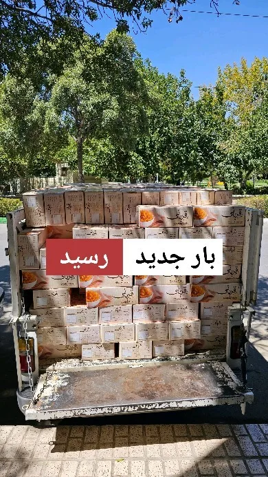 کشمش پلویی کارتن ۹ کیلویی