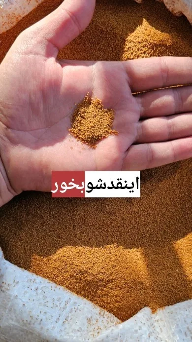 خاکشیر شیرین