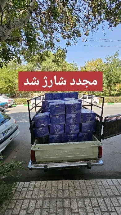زرشک پفکی درشت