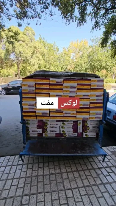کشمش سبز کارتن ۵ کیلویی