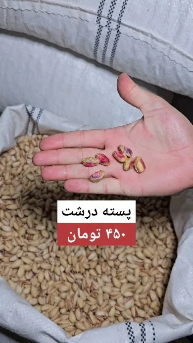 پسته درشت، رنگ کرم و قرمز، پسته با پوست