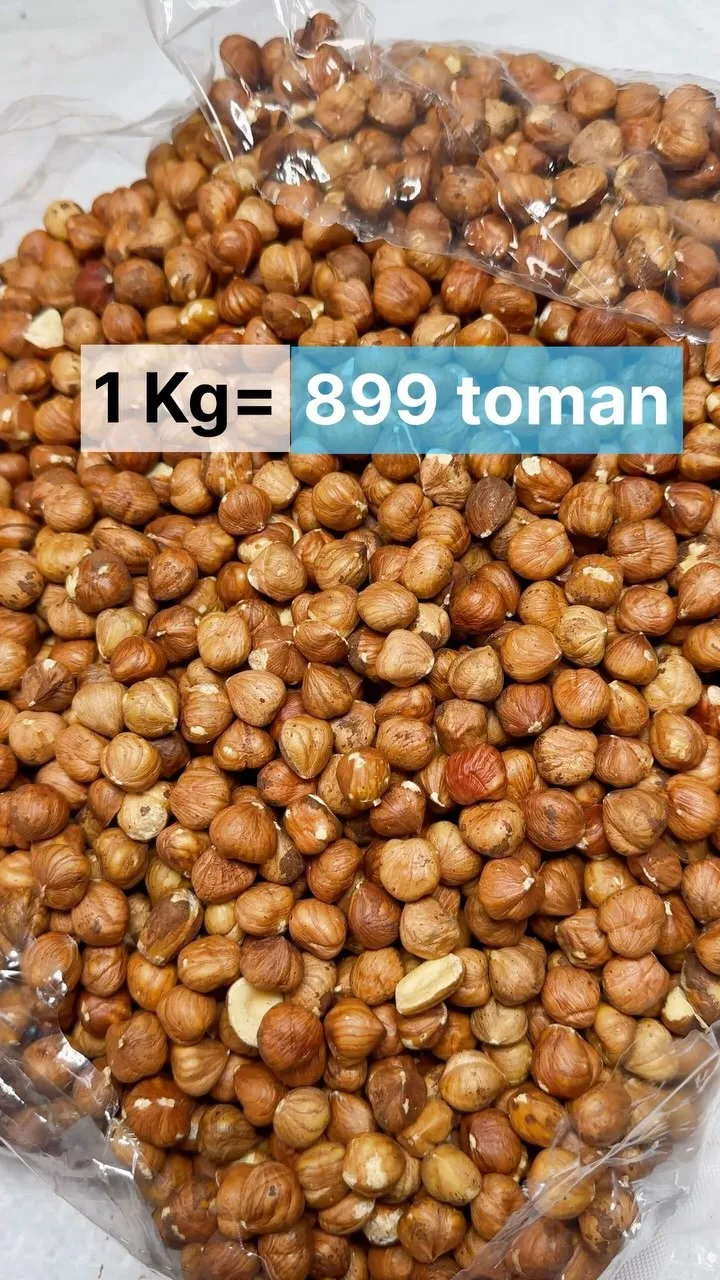 مغز فندق درشت، رنگ قهوه‌ای، خشکبار