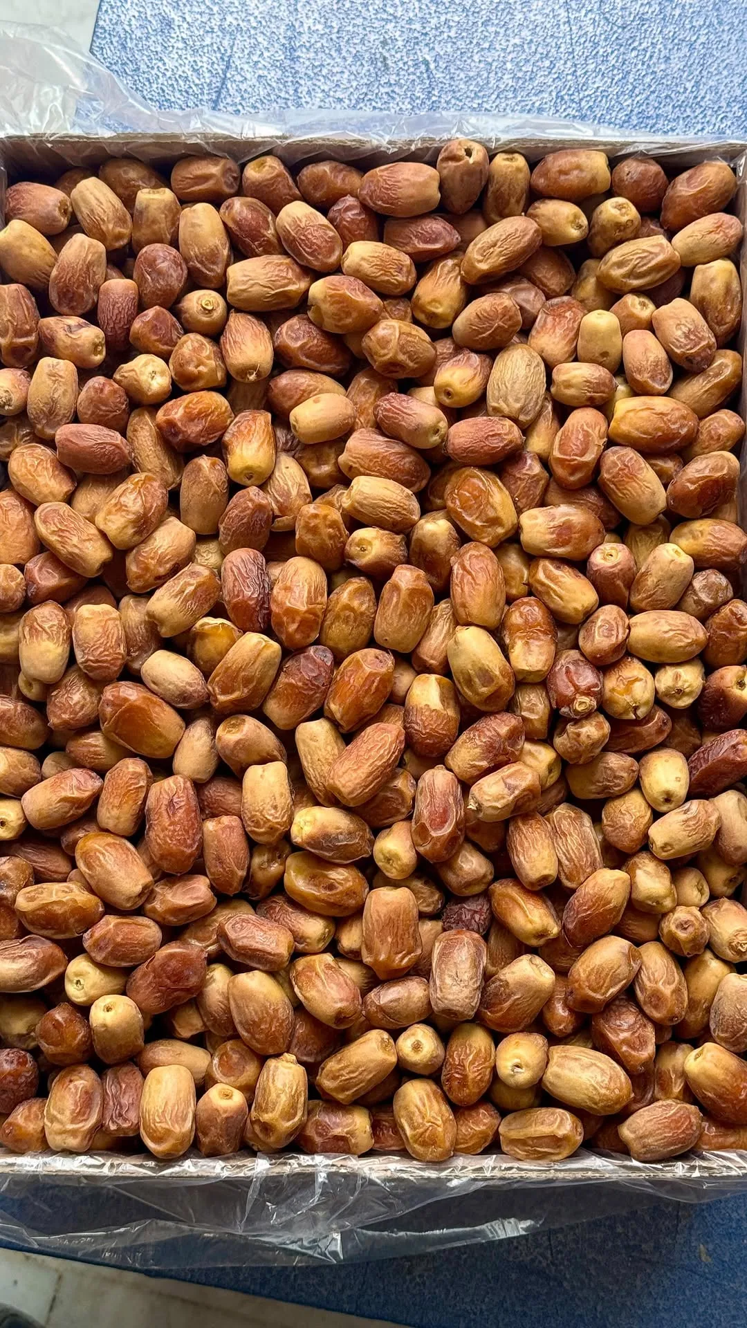 خرما زاهدی لوکس