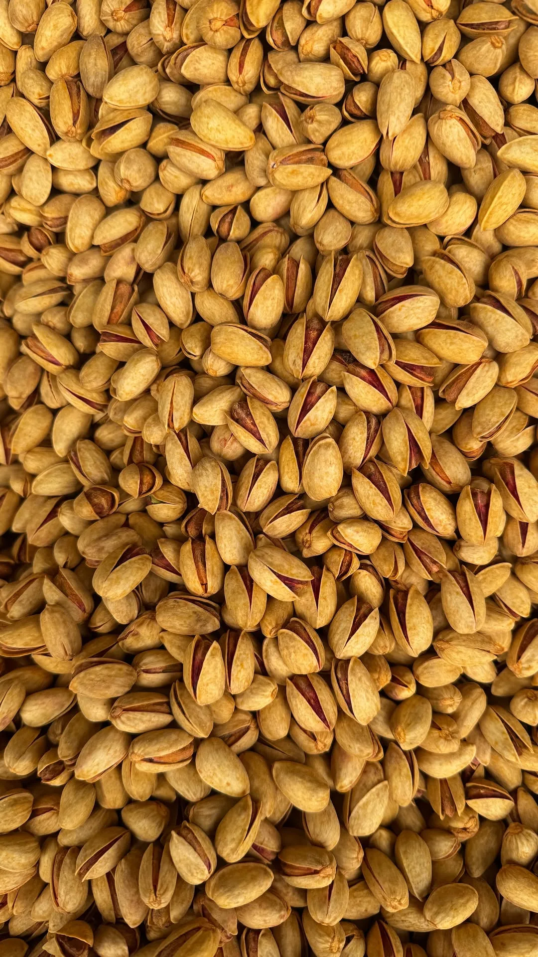 پسته بادامی زعفرانی