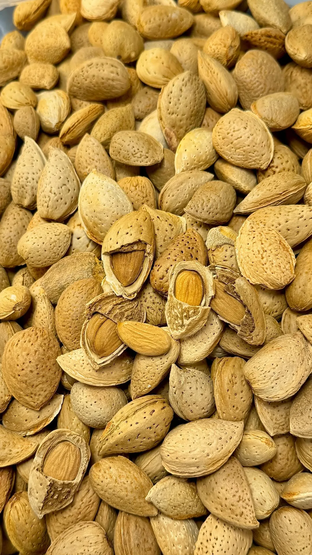 بادام سنگی