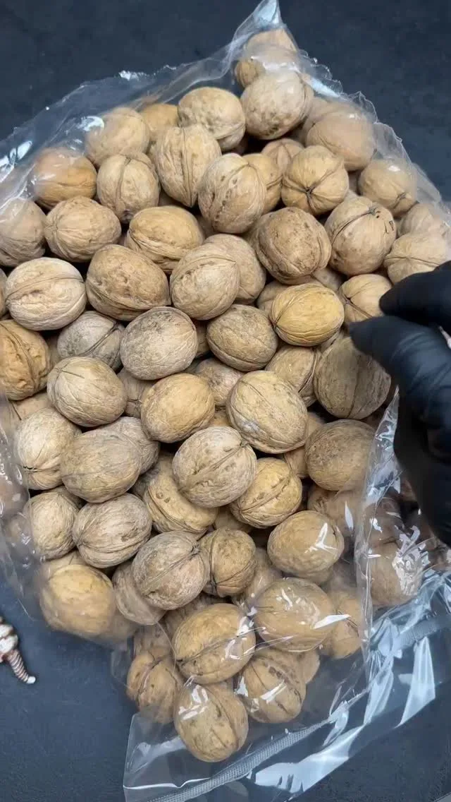 گردو پوست کاغذی