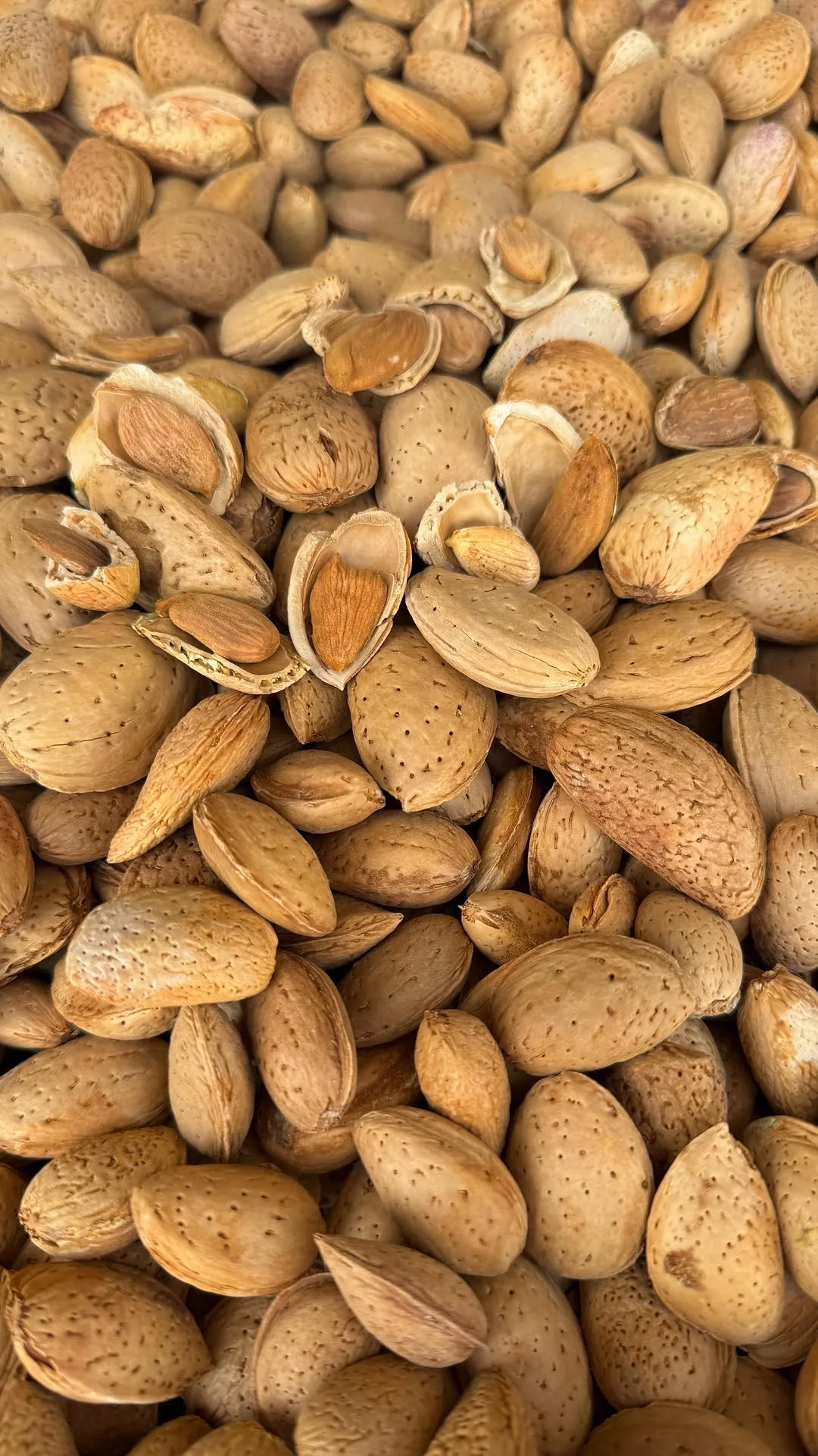 بادام با پوست، رنگ قهوه‌ای و کرم