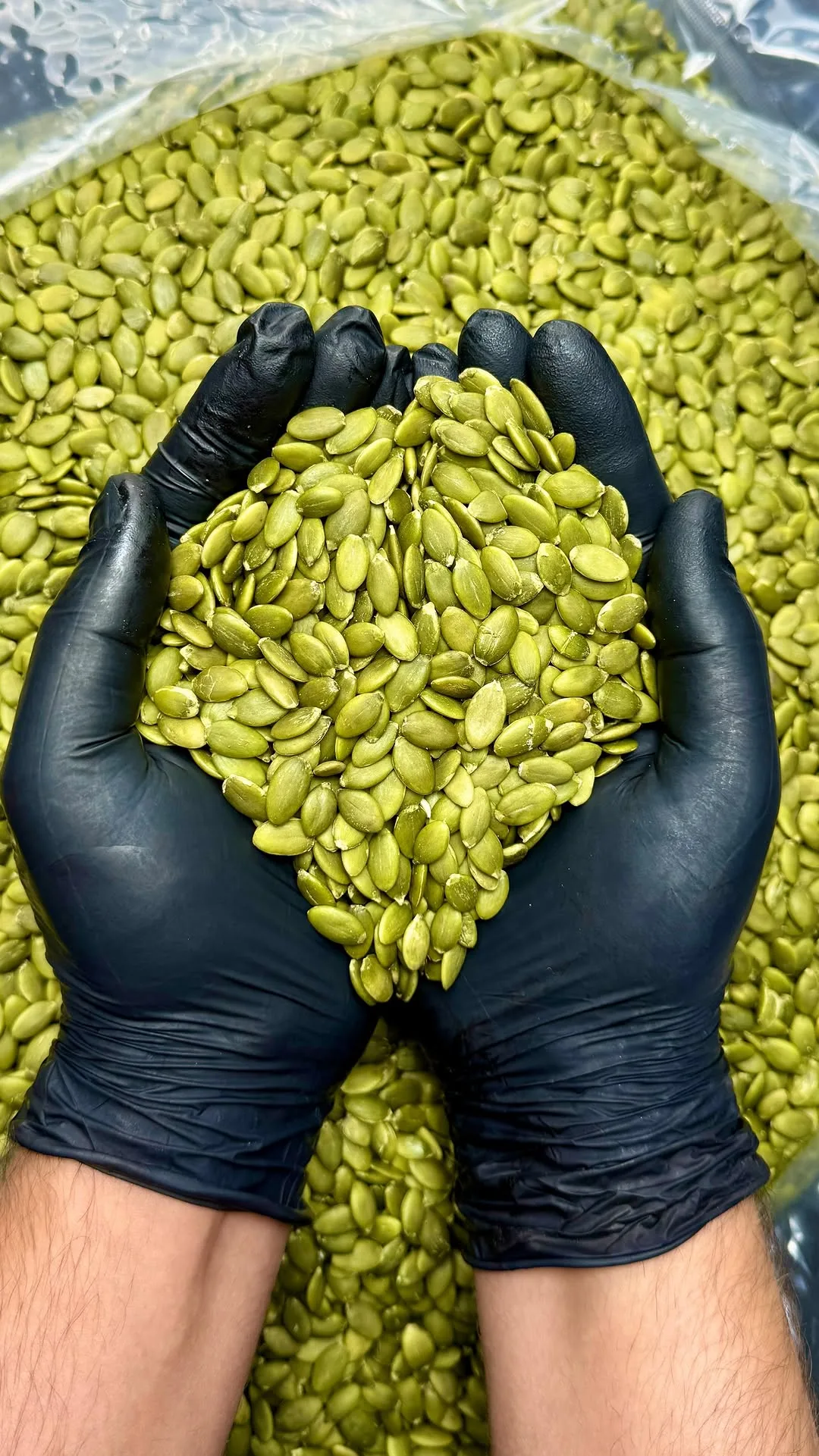 مغز تخمه کدو، رنگ سبز، تخممرغی
