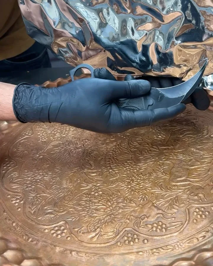 چیپس میگو