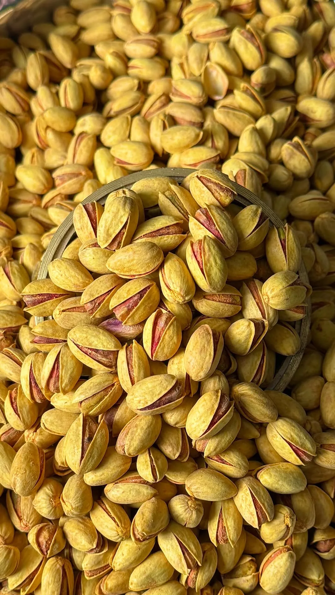 پسته بادامی لعابی انس ۳۰