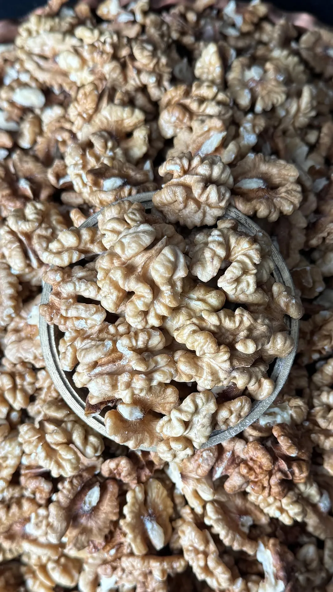 مغز گردو سفید تازه