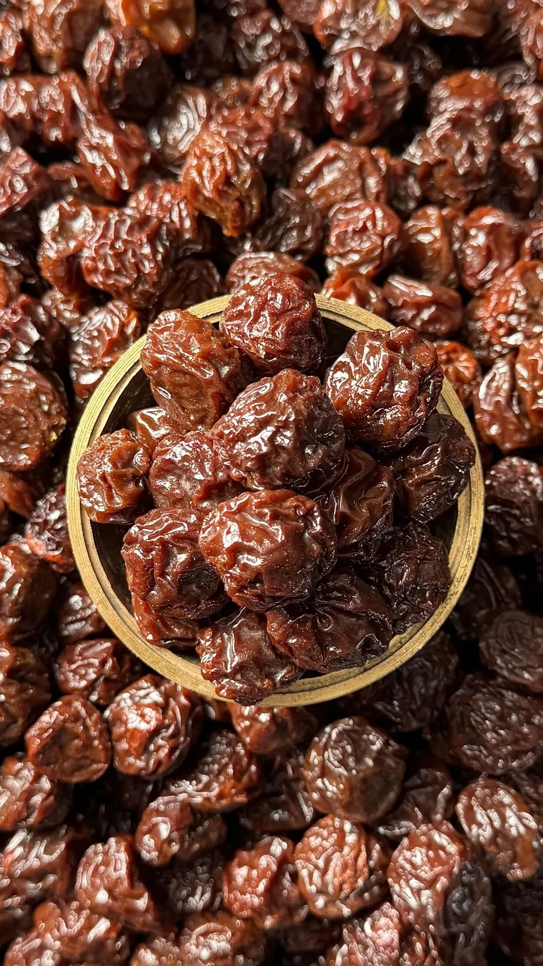 آلوچه برغانی تیره