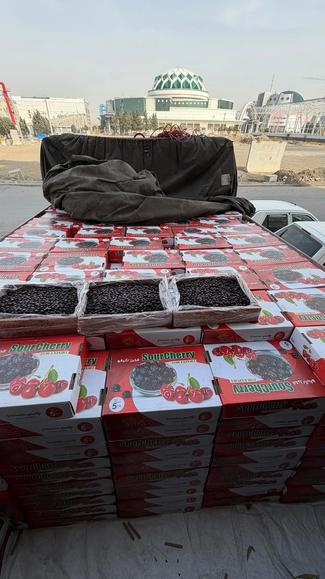 آلبالو خشک ترش، رنگ قرمز و مشکی، بسته‌بندی کارتن