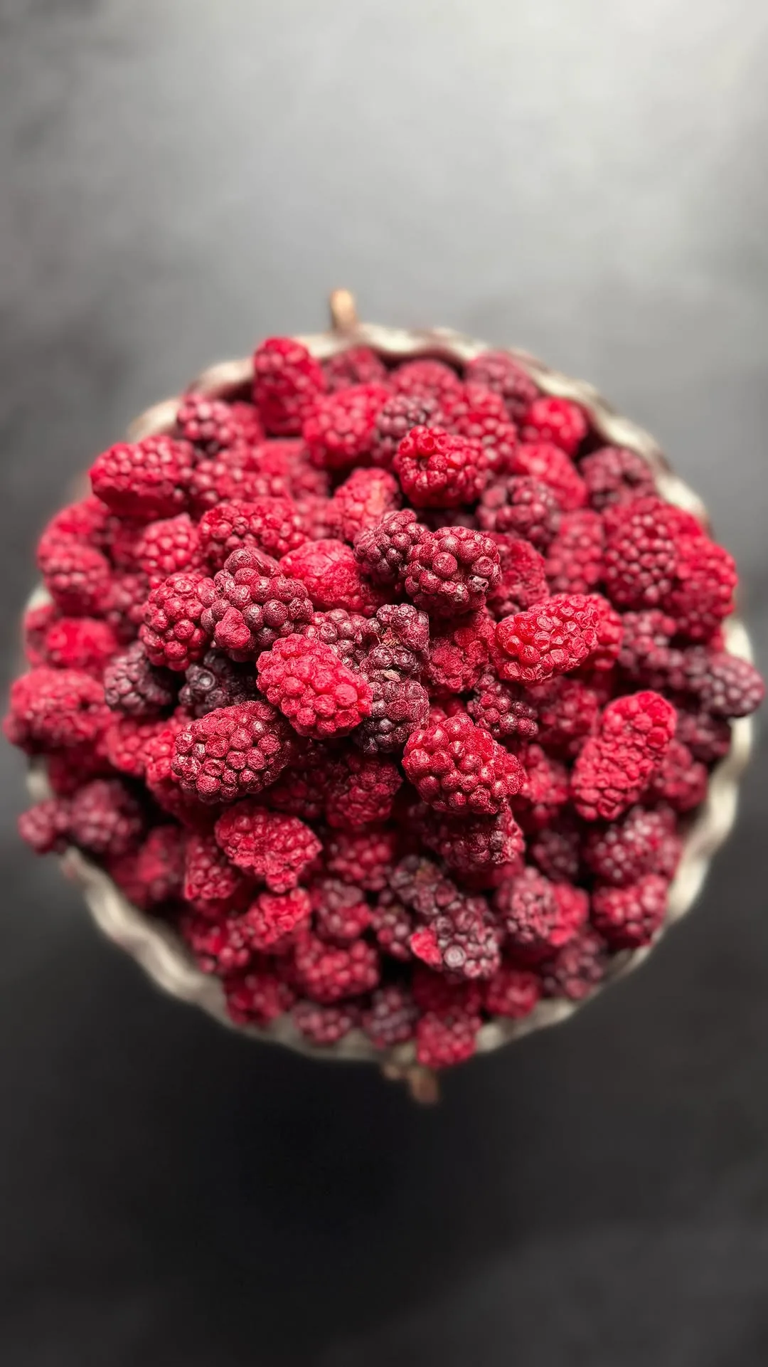 بلک‌بری فریزدرای ۱۰۰ گرمی