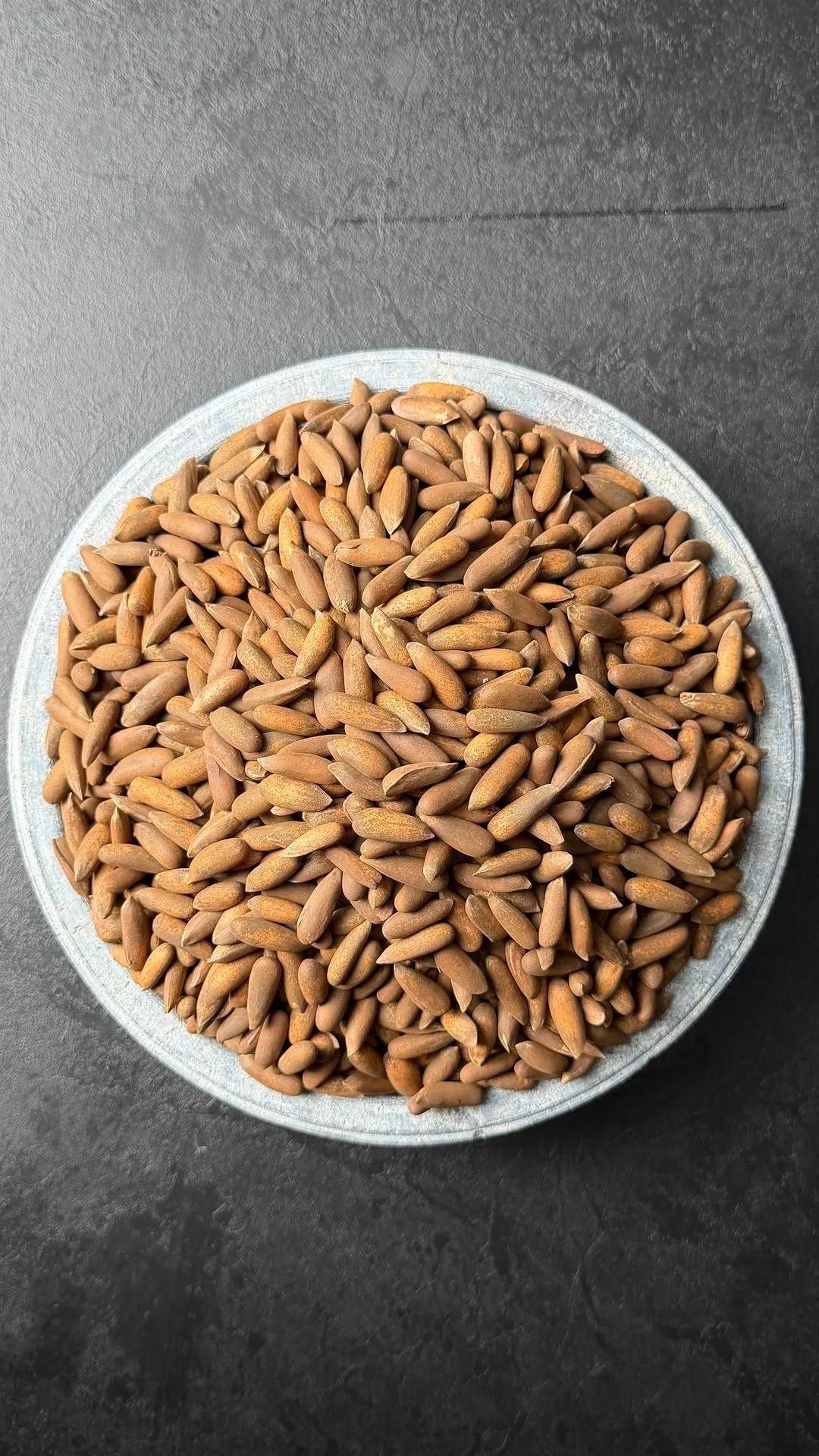 چلغوزه درجه یک