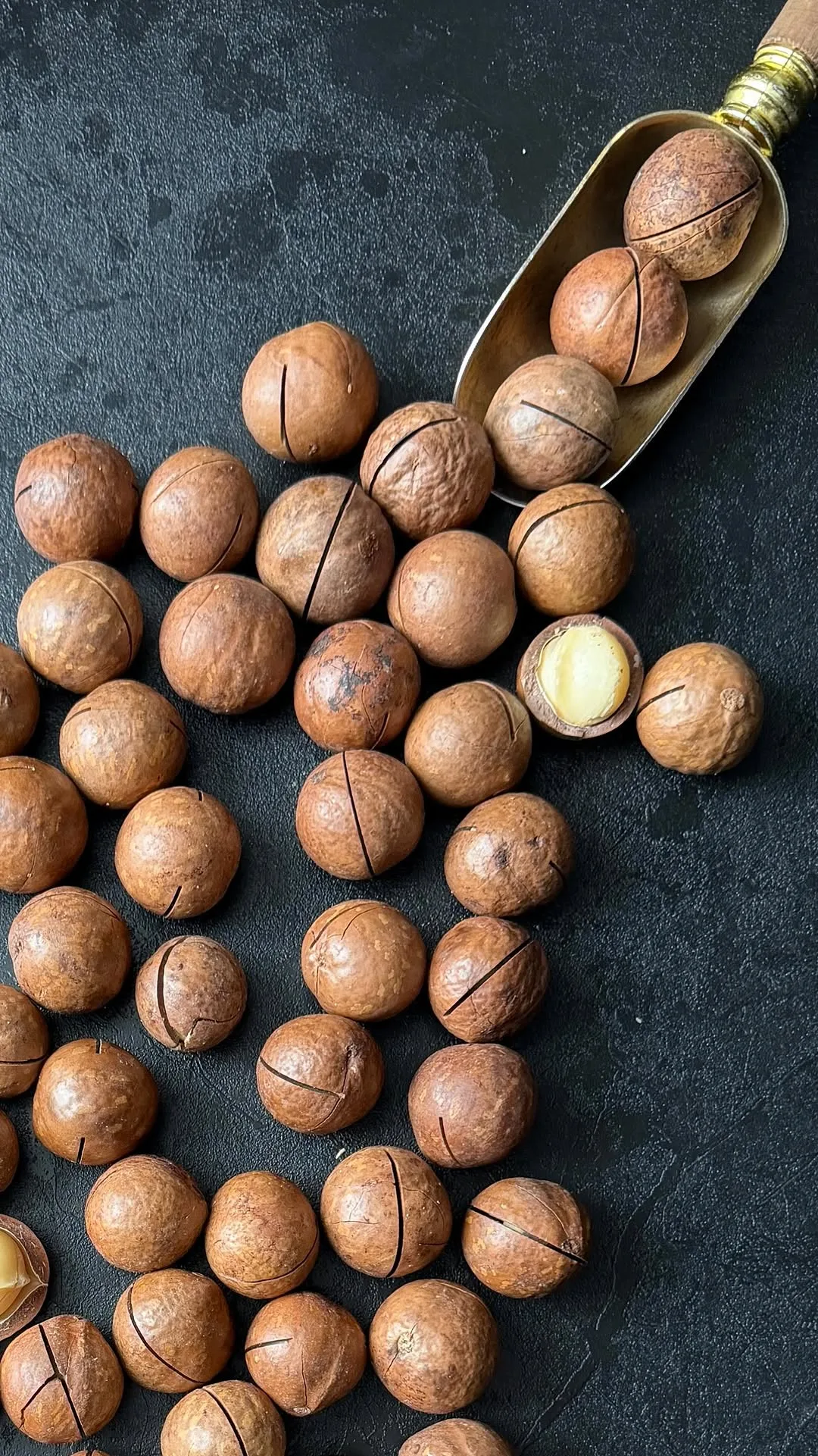 مغز ماکادمیا درشت، رنگ قهوه‌ای و کرم، خشکبار