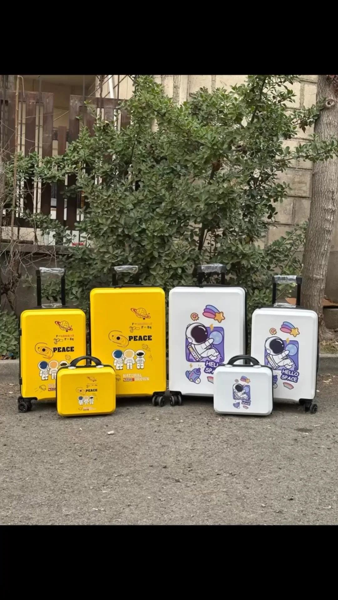 چمدان و کوله طرح سفینه