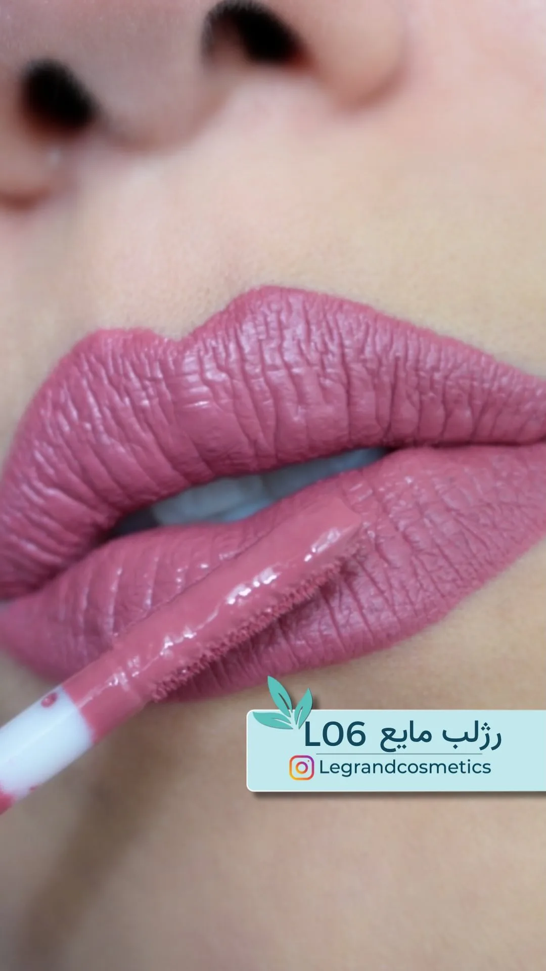 رژلب مایع کد L06 صورتی لگراند