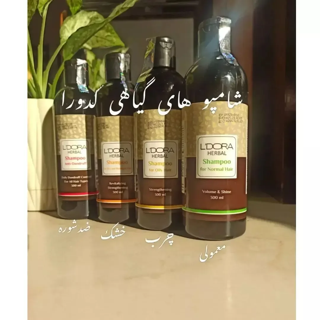 شامپو گیاهی موی خشک لدورا هربال