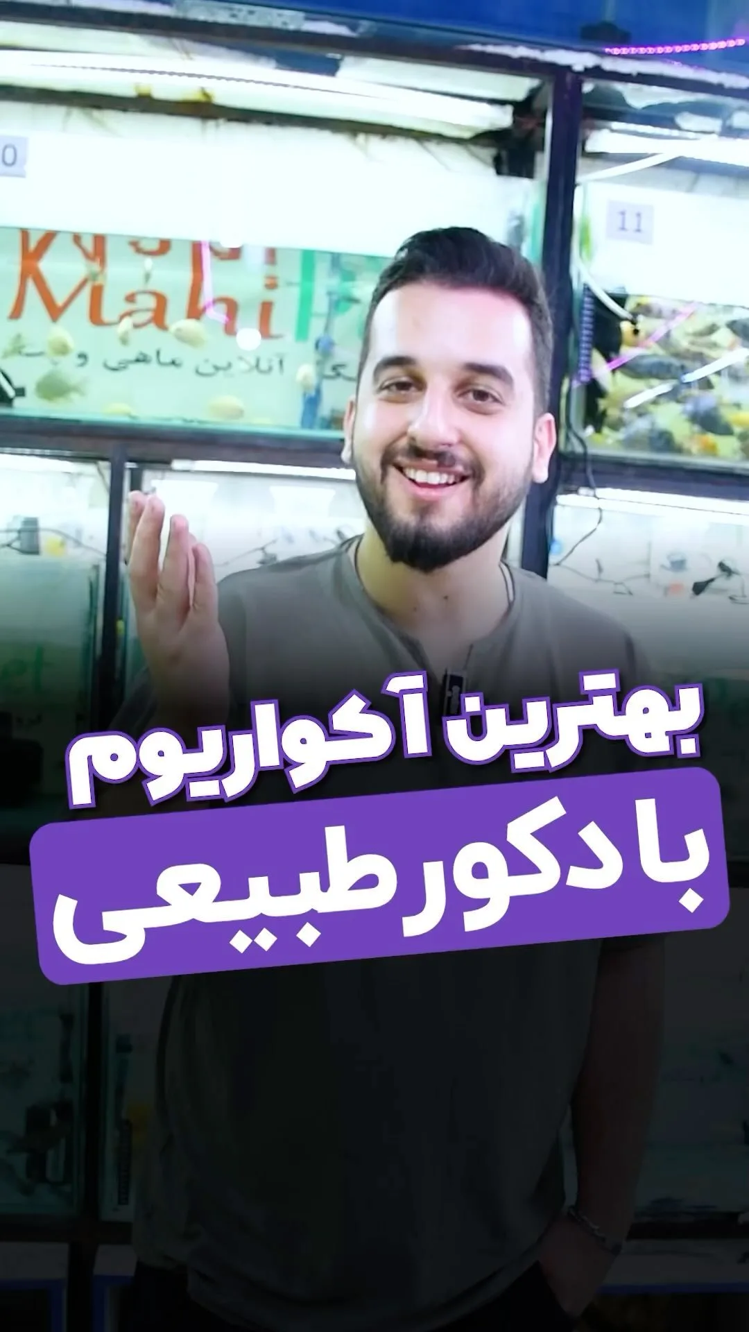آکواریوم با دکور طبیعی