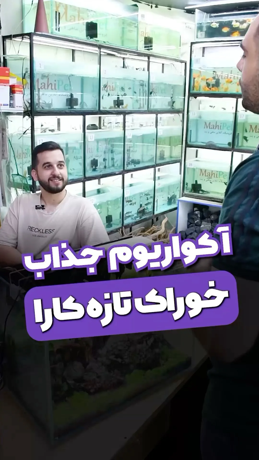 آکواریوم، رنگ شفاف و مشکی، جنس شیشه، مستطیلی شیشهای