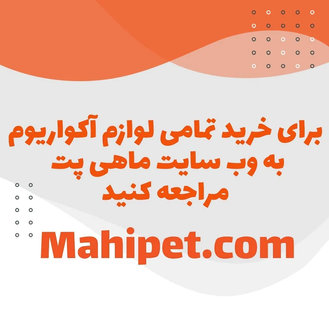 لوازم آکواریوم پلنت — اطلاعات — عکس ۴