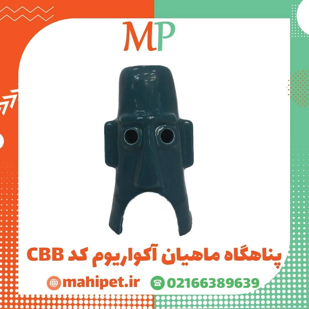 دکور آکواریوم — رنگ فیروزه‌ای — نمای روبه‌رو — دکور آکواریوم — عکس ۲