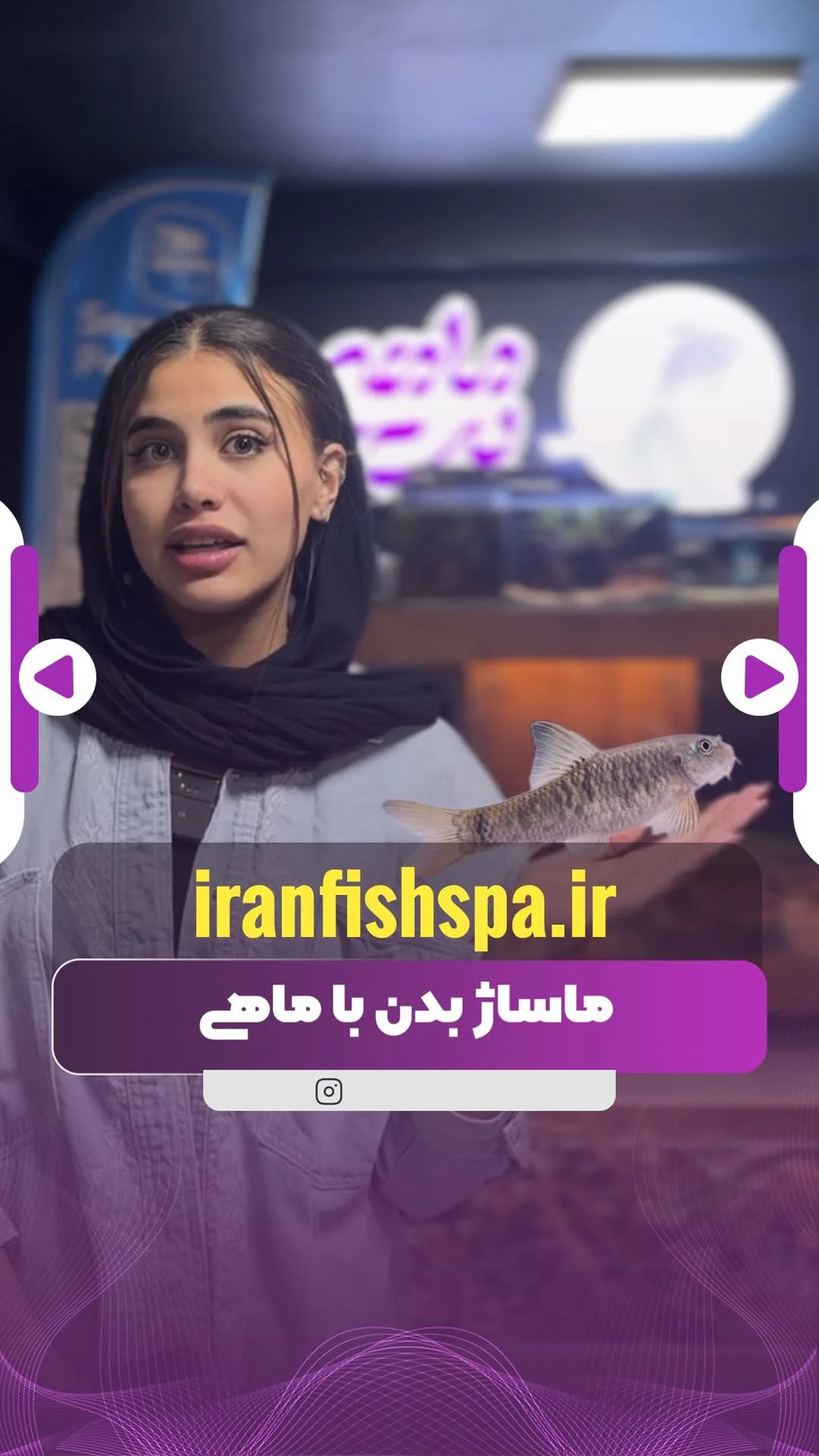 ماهی گارا روفا، رنگ خاکستری و سفید، ماهی زینتی