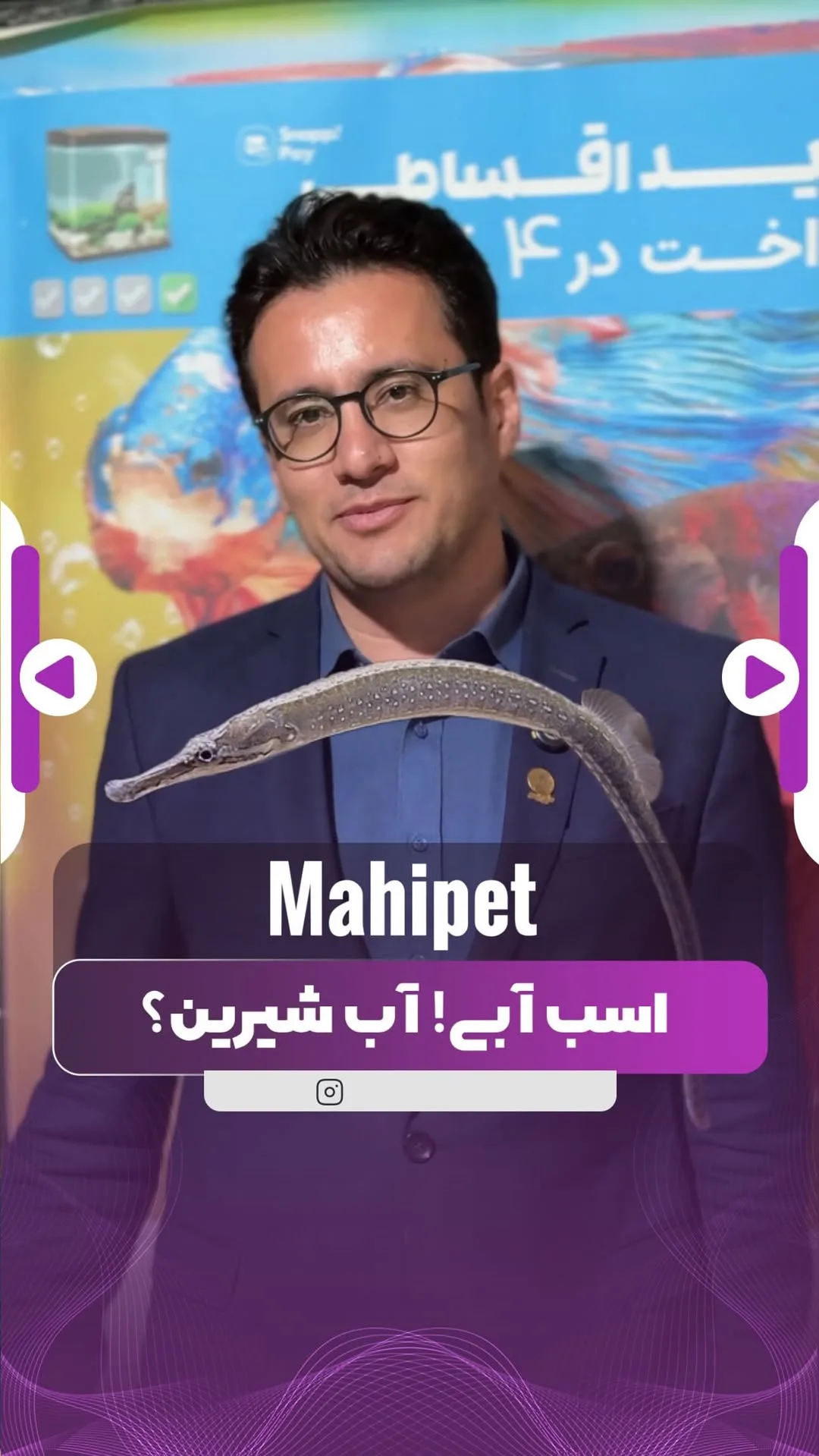 ماهی پایپ‌فیش