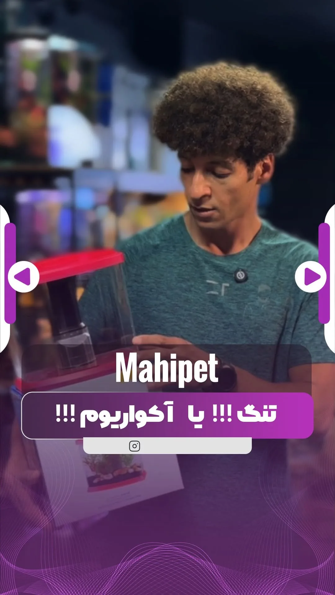 تنگ رومیزی بویو